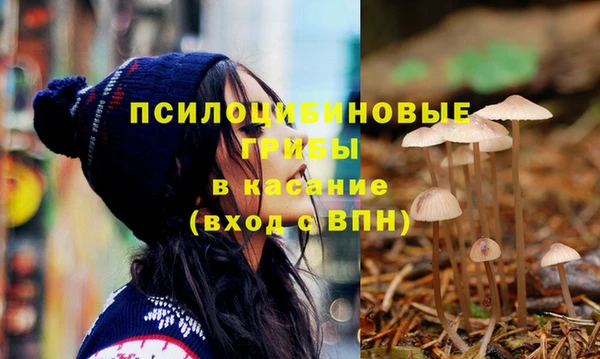 мяу мяу мука Армянск