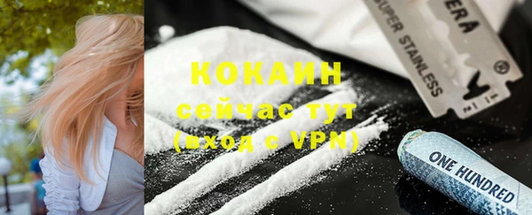 спайс Арсеньев